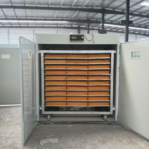 couveuse electrique et solaire